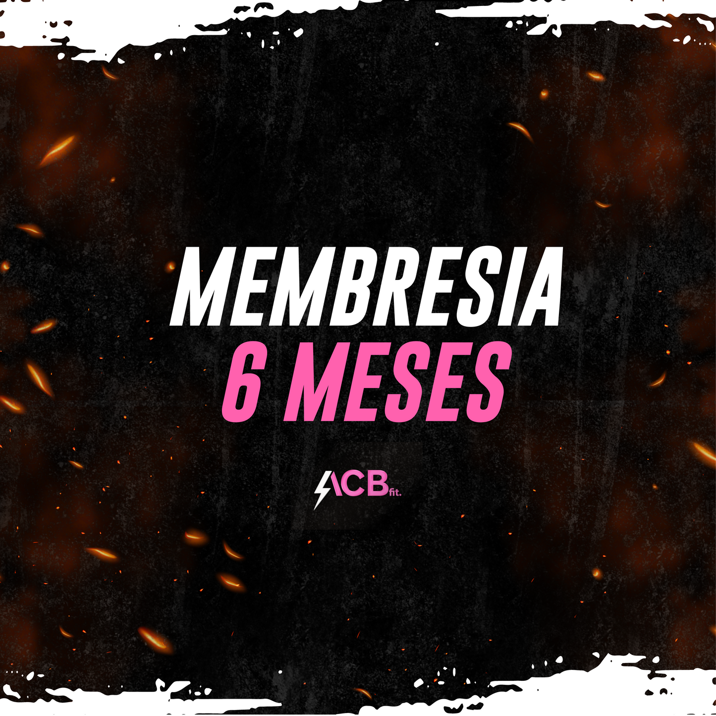 Membresía 6 meses