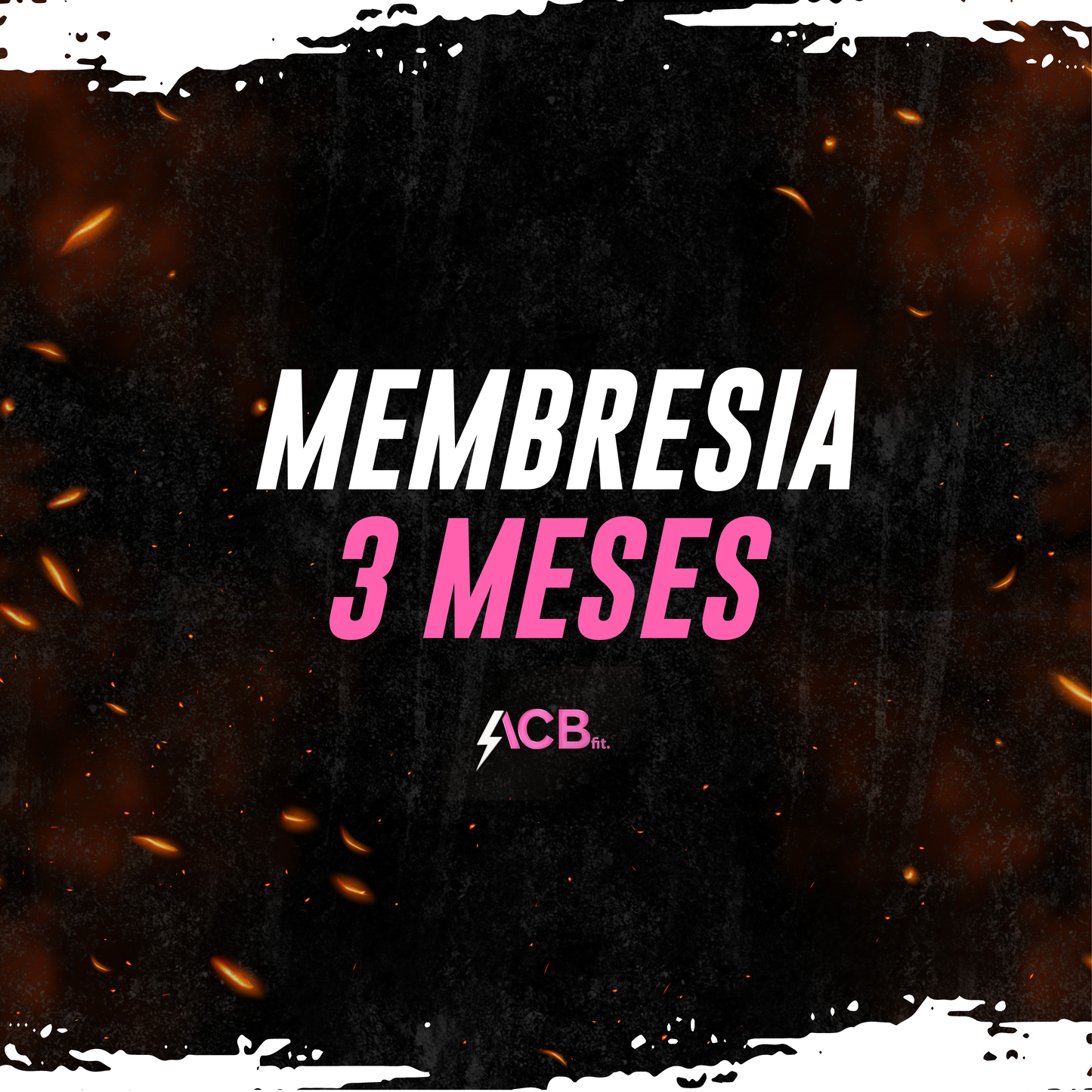 Membresía 3 meses