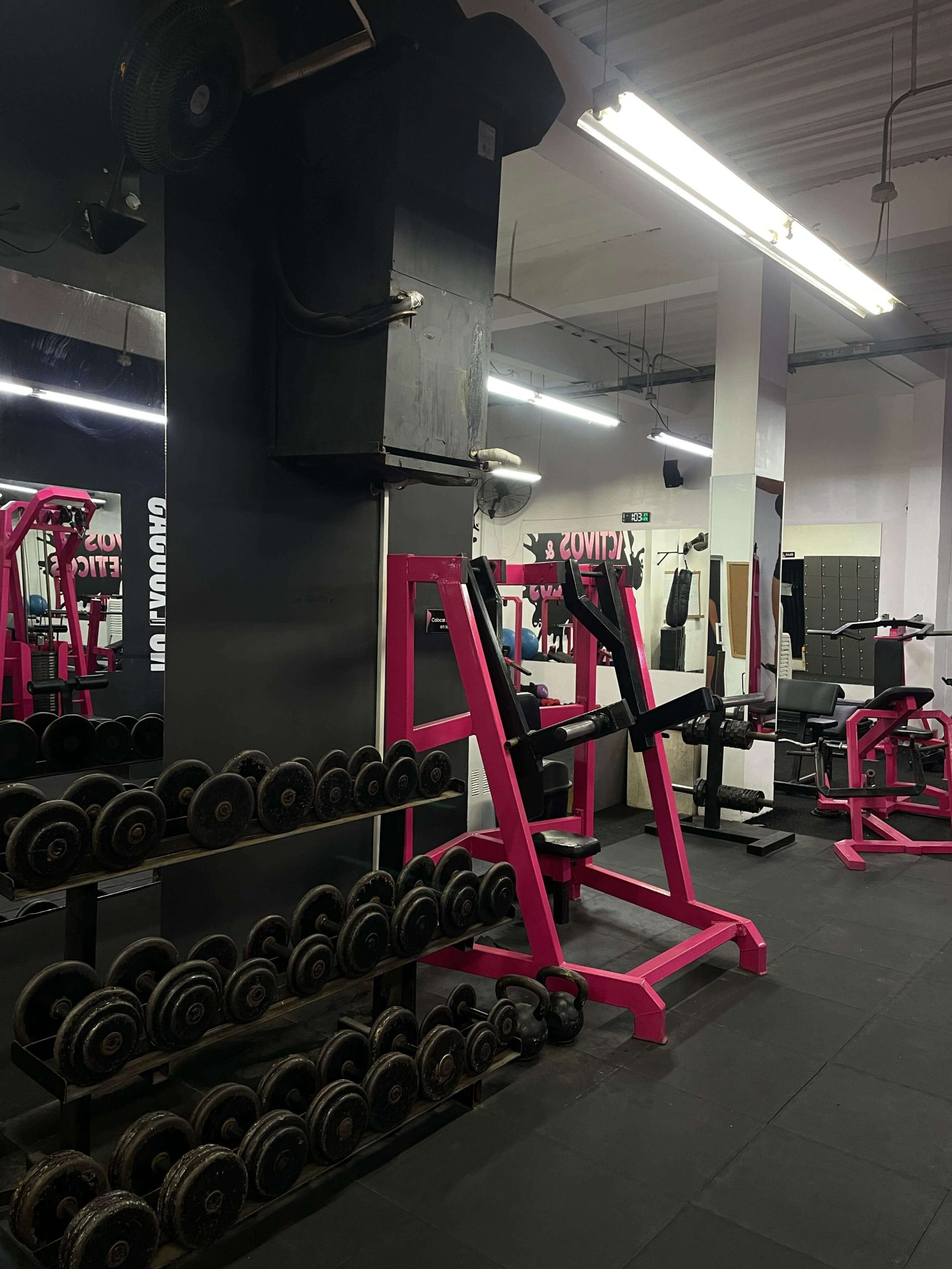 gym