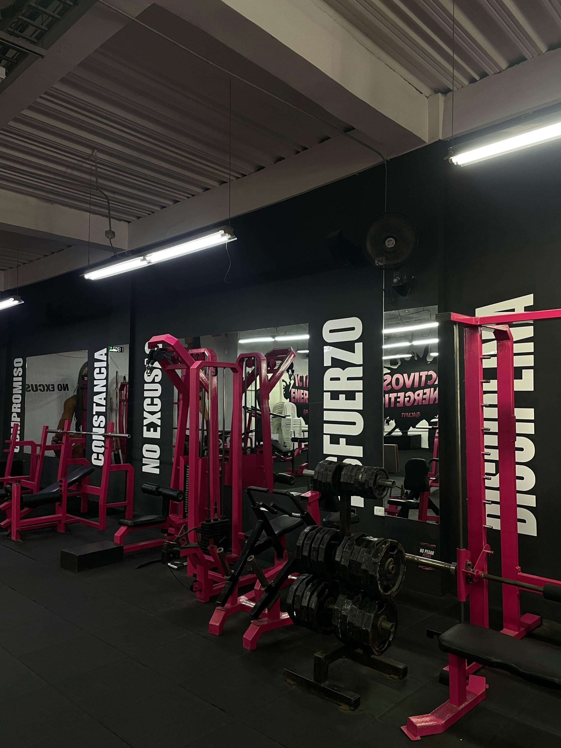 gym
